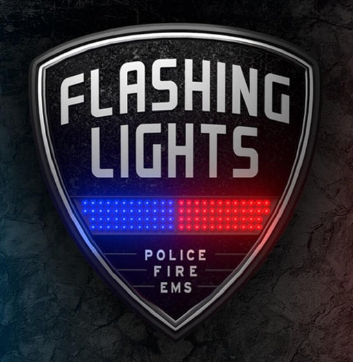 Gameplay screenshot from Flashing Lights on PC Steam, showcasing paramedics rescuing an injured person next to emergency vehicles on a roadside. Purchase your Flashing Lights Steam CD Key at RushGame.co and join intense emergency operations