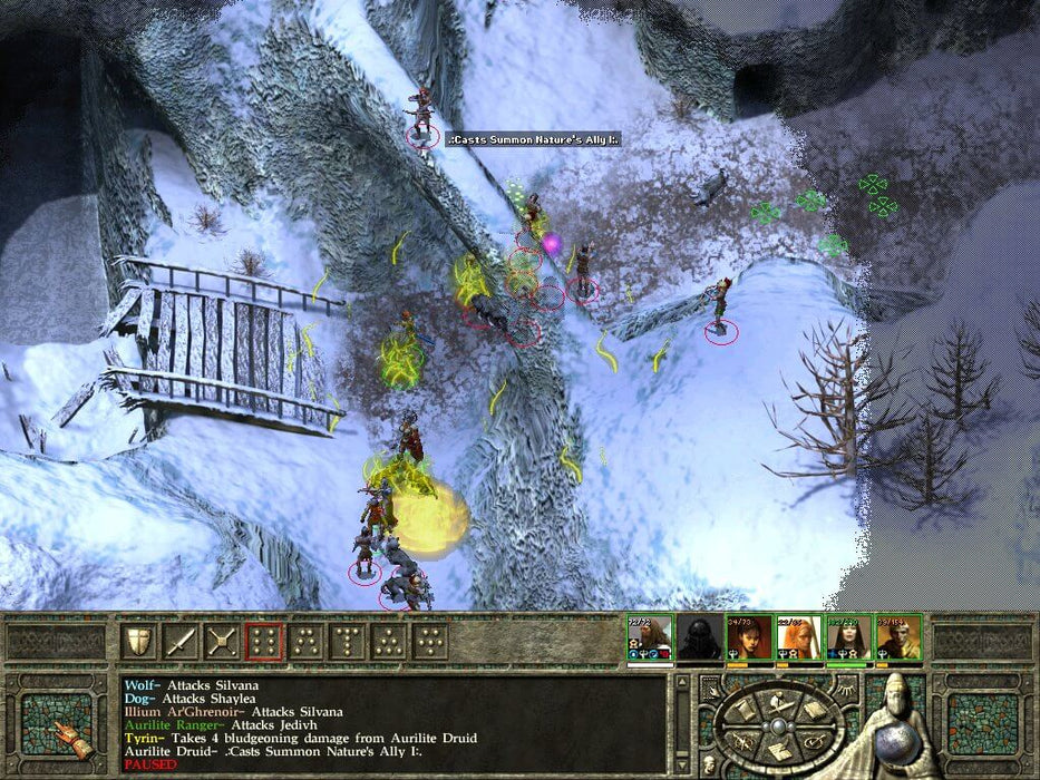 Icewind Dale II gameplay screenshot