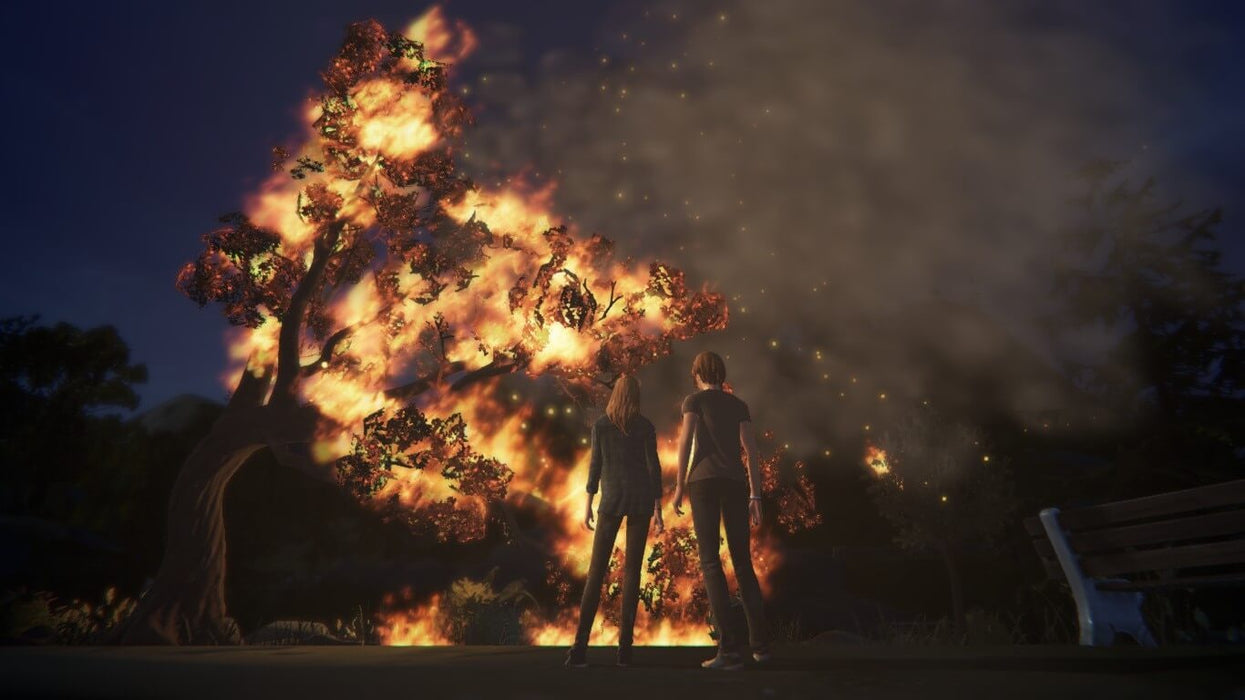 Life is Strange: Before the Storm Deluxe Edition XBOX key - gameplay screenshot of fire tree