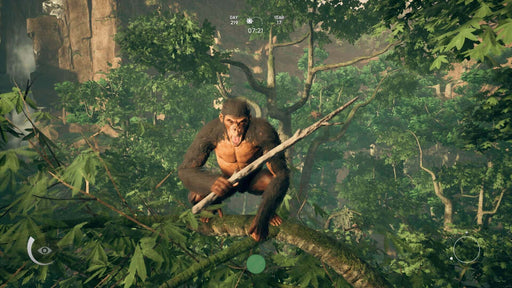 Explore the lush jungles in Ancestors: The Humankind Odyssey for Xbox One. Take on the challenges of survival and evolution. Get your CD Key at RushGame.co