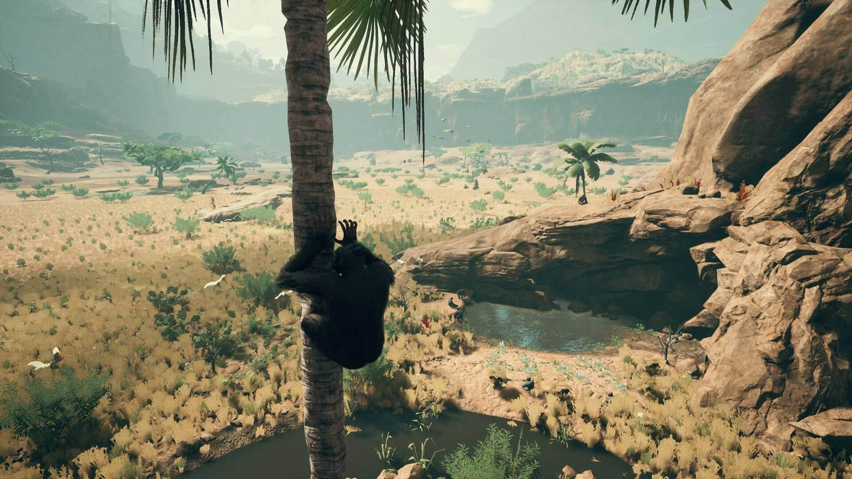 Climb to new heights in Ancestors: The Humankind Odyssey for Xbox One. Adapt, evolve, and survive in stunning prehistoric landscapes. Available at RushGame.co