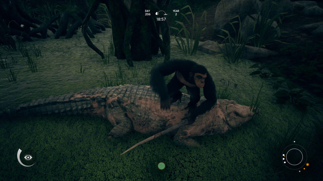 Defend your lineage in Ancestors: The Humankind Odyssey for Xbox One. Fight predators and overcome challenges to evolve. Get your Xbox CD Key at RushGame.co.
