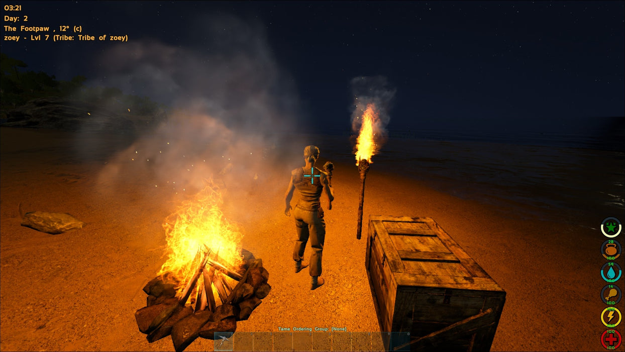 (Campfire Scene at Night in ARK: Survival Evolved)
A lone survivor stands near a warm campfire on a deserted beach, illuminating the dark night as sparks rise into the air. ARK: Survival Evolved delivers an intense survival experience—secure your CD key at RushGame.co and thrive in this prehistoric world