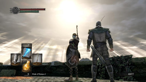 Dark Souls Remastered PC Gameplay – Praise the Sun – A mage character and a warrior clad in chainmail stand before the sun, gazing at the glowing sky. This iconic scene from Dark Souls Remastered embodies the spirit of the "Praise the Sun" meme, popularized by the game's fan-favorite character, Solaire. Secure your CD Key at RushGame.co today