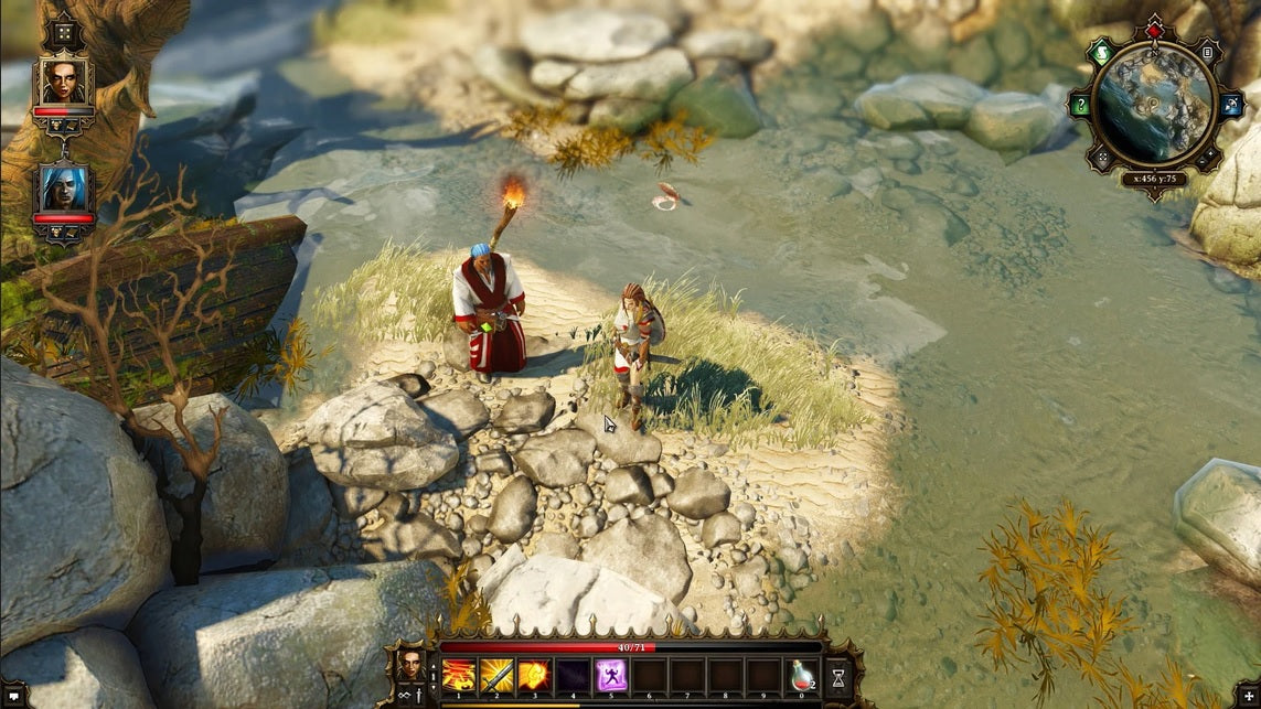 Divinity: Original Sin Enhanced Edition GOG CD Key