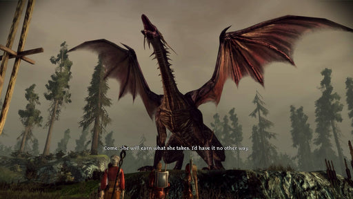 Gameplay screenshot - A massive dragon spreads its wings in Dragon Age: Origins as a group of adventurers stands ready for battle. Face legendary creatures in this epic RPG—buy your Dragon Age: Origins PC EA Play CD Key now at RushGame.co