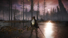 Gameplay Screenshot - Mysterious and eerie swamp landscape in Elden Ring: Shadow of the Erdtree DLC on Steam, where a warrior clad in armor stands in shallow water, gazing at the misty horizon under a crimson sky. Unlock the full adventure with an instant digital code from RushGame.co