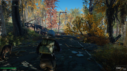 Gameplay screenshot - A character in Fallout 4: Game of the Year Edition walks through a vibrant autumn forest, accompanied by a loyal dog companion. The golden leaves and detailed environment showcase the expansive open world. Purchase your Fallout 4 GOTY Xbox One CD key at RushGame.co and start your adventure today