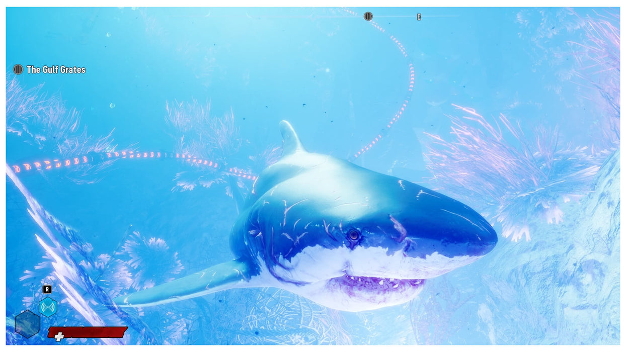 In-game scene from Maneater on PC (Epic Games) featuring a close-up of a great white shark swimming through a bright, coral-rich environment under the sea. Get your digital Maneater CD Key for Epic Games at RushGame.co and start your shark evolution journey now