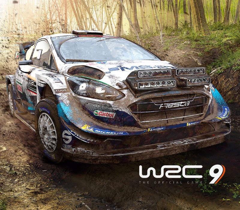 WRC 9 FIA World Rally Championship Epic Games CD Key